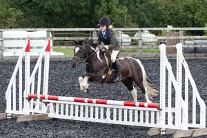 Class 2 -  Fences not above 2'